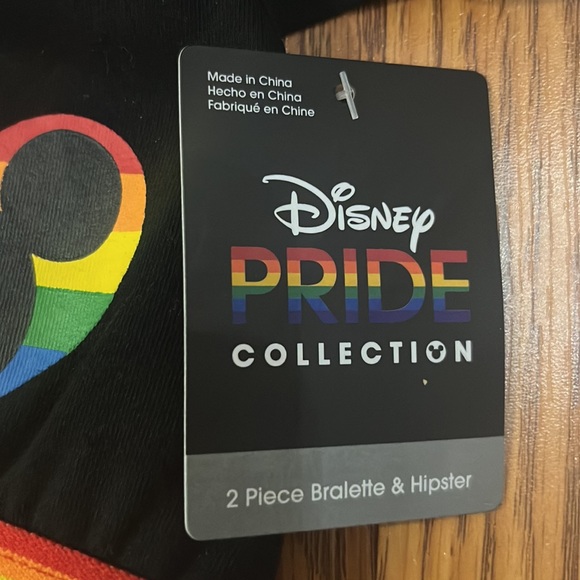 Disney Pride Collection 2 Piece Bralette & Panty set NWT - Picture 4 of 4